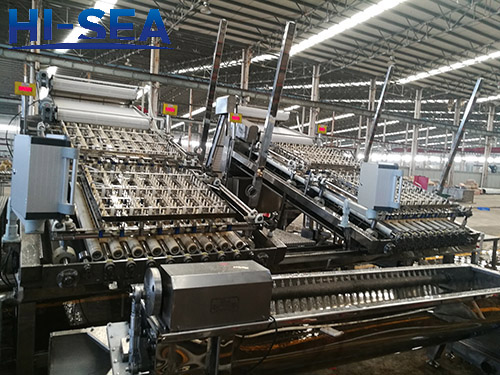 Shrimp Peeling System